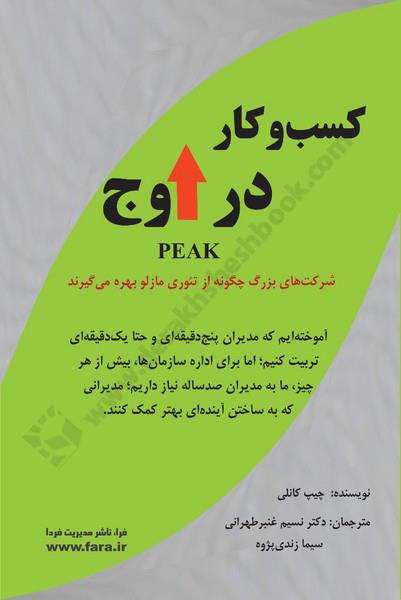 کسب و کار در اوج؛ شرکت های بزرگ چگونه از تئوری مازلو بهره می گیرند